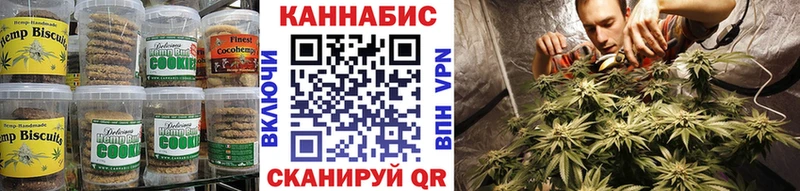 где найти   Суоярви  Canna-Cookies марихуана 