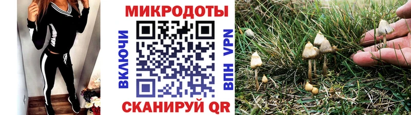 Галлюциногенные грибы MAGIC MUSHROOMS  Суоярви 